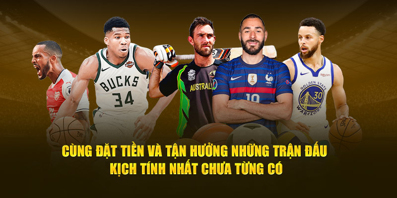 Cùng đặt tiền và tận hưởng những trận đấu kịch tính nhất chưa từng có