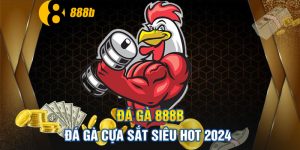 đá-gà-cựa-sắt-2024